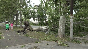 Беслан Эшба: будем высаживать деревья там, где их вырвал ураган